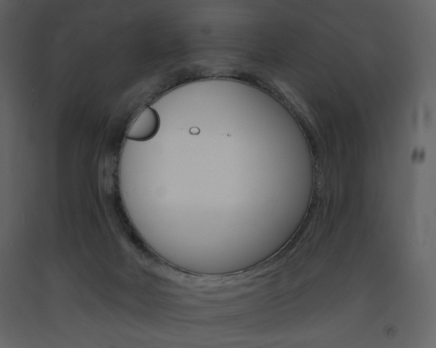 X0000094070026200710191006