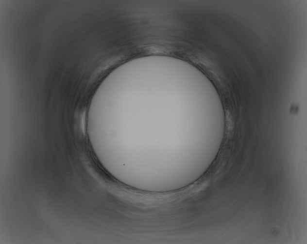 X0000094070028200710191006