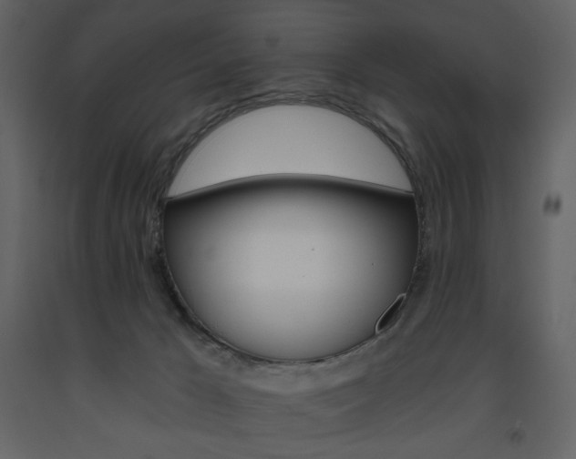 X0000094070029200710191006