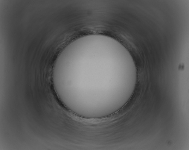 X0000094070030200710191006