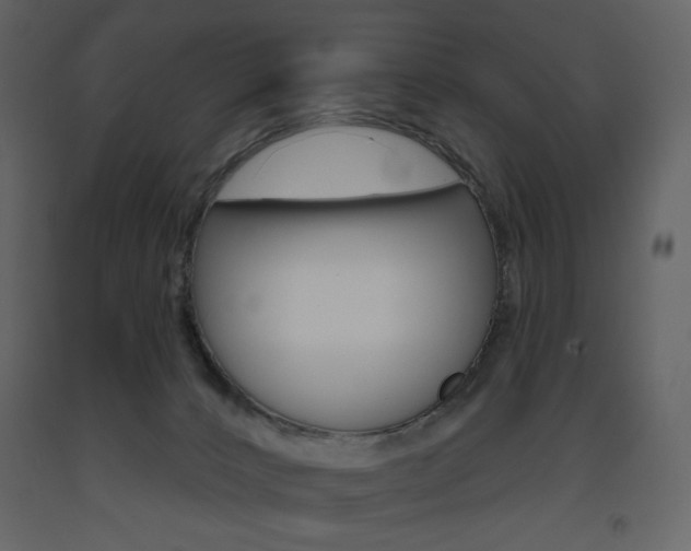 X0000094070032200710191006