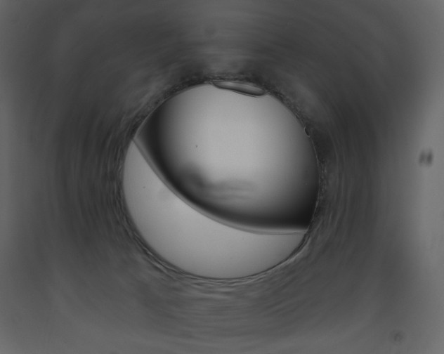 X0000094070033200710191006