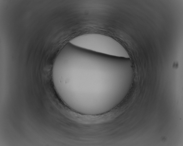 X0000094070034200710191006
