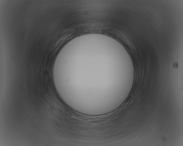 X0000094070035200710191006