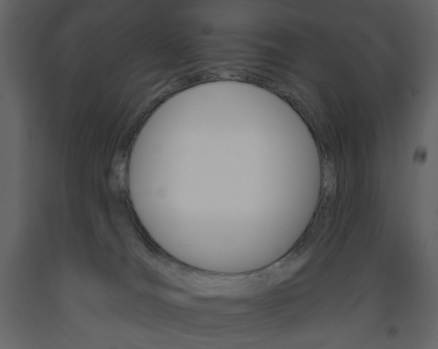 X0000094070036200710191006