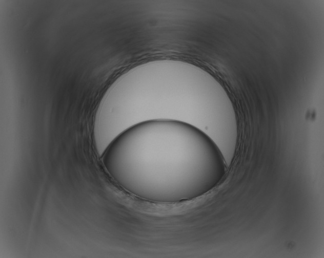 X0000094070037200710191006