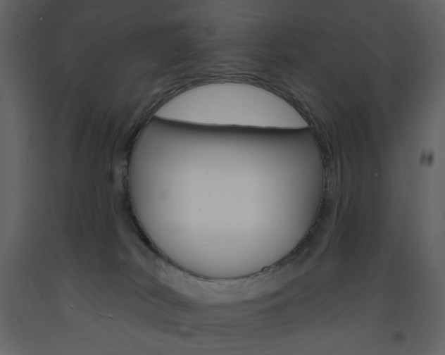 X0000094070038200710191006