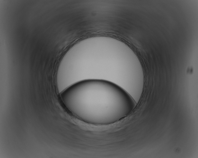 X0000094070039200710191006
