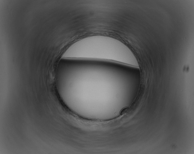 X0000094070040200710191006