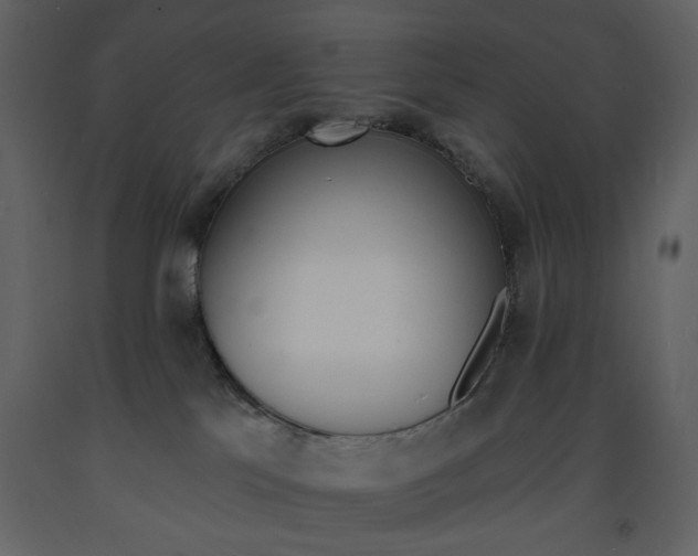 X0000094070041200710191005