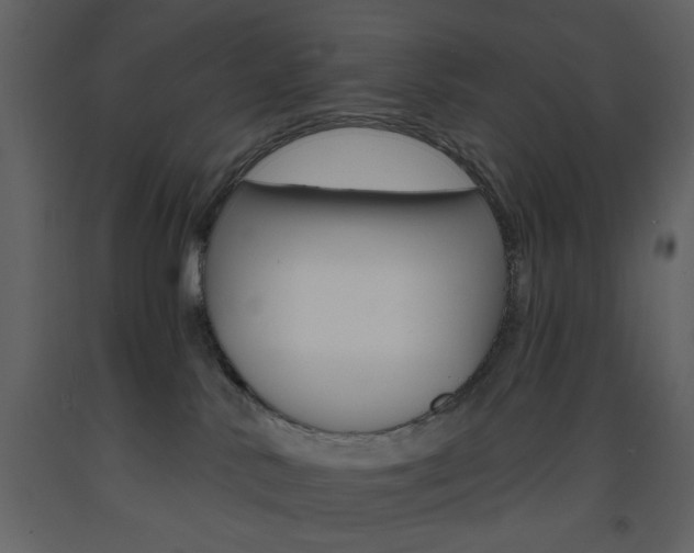 X0000094070042200710191005
