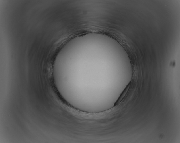 X0000094070043200710191005