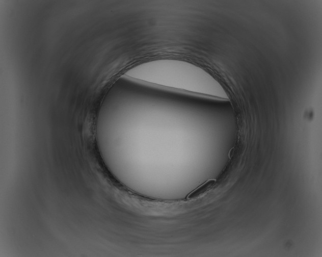 X0000094070044200710191005