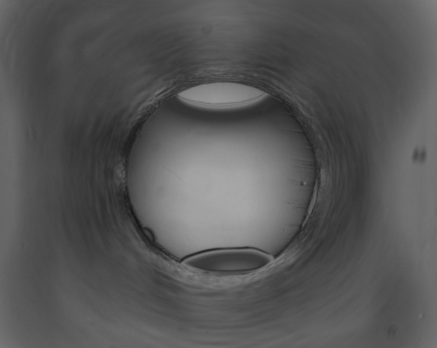 X0000094070048200710191005