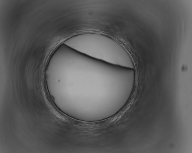 X0000094070049200710191005