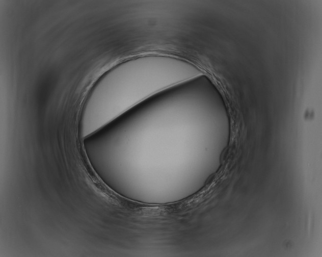 X0000094070050200710191005