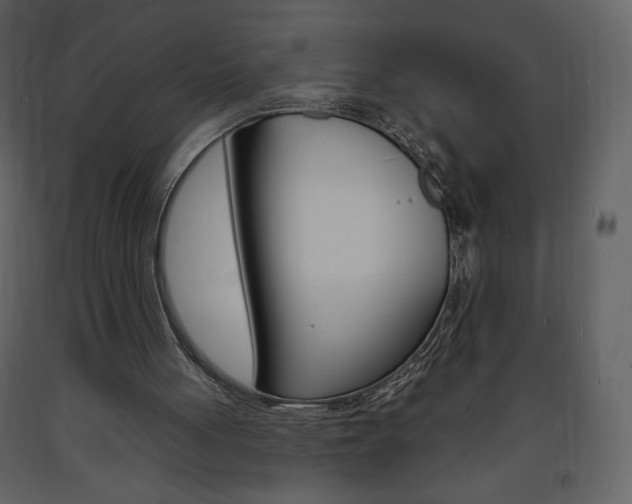 X0000094070051200710191005