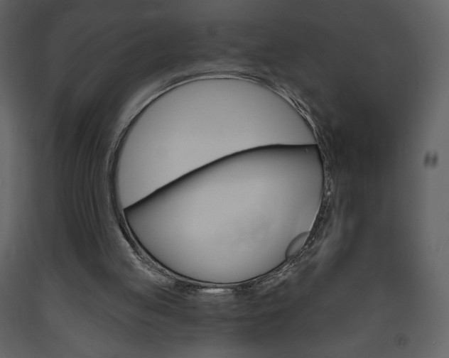 X0000094070053200710191005