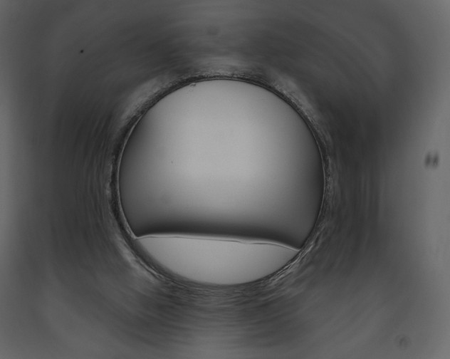 X0000094070058200710191005
