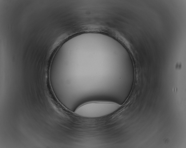 X0000094070059200710191005