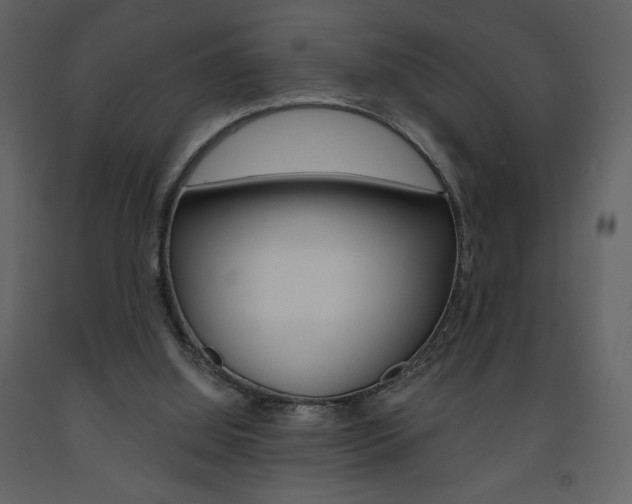 X0000094070060200710191005