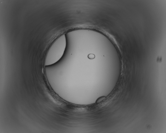X0000094070061200710191005