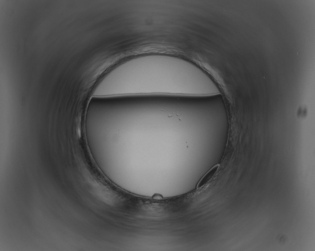 X0000094070062200710191005