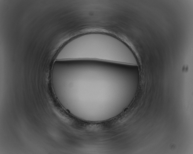 X0000094070063200710191005