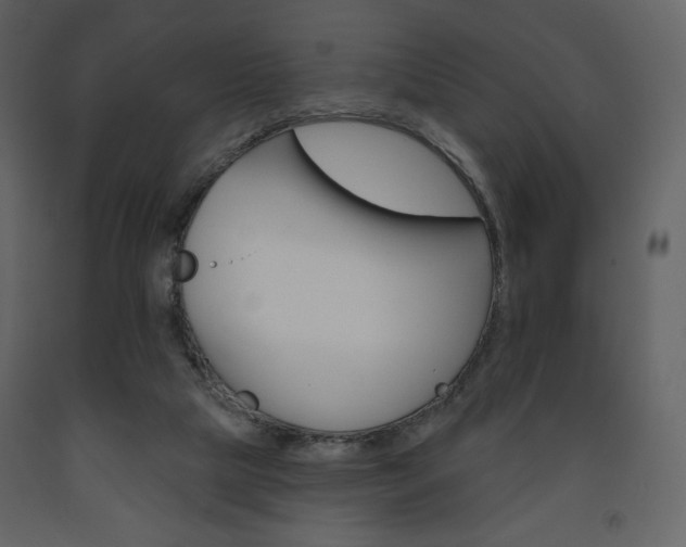 X0000094070065200710191005