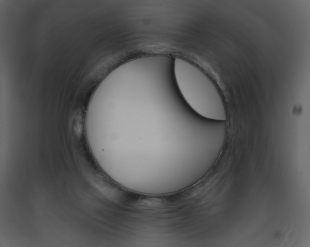 X0000094070069200710191005