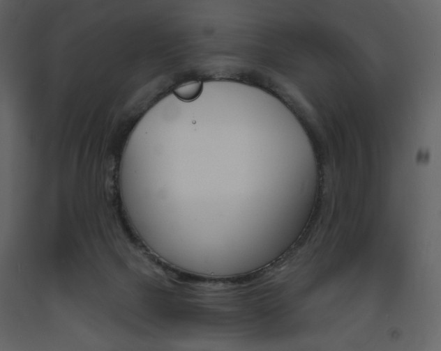 X0000094070073200710191005