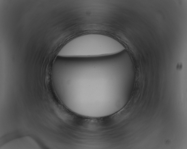 X0000094070074200710191005