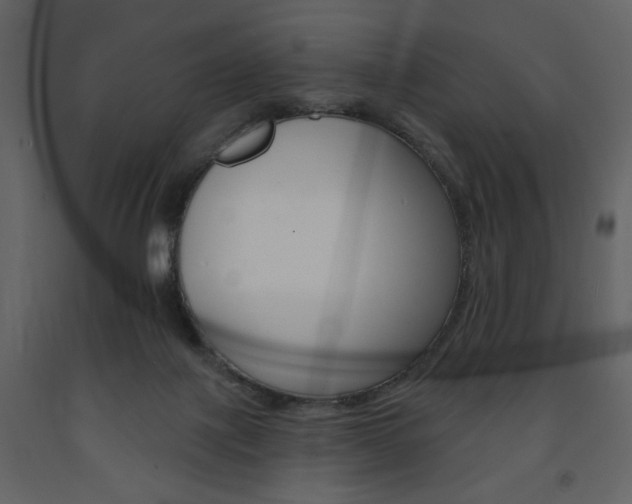X0000094070075200710191005