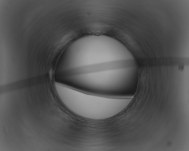 X0000094070076200710191005