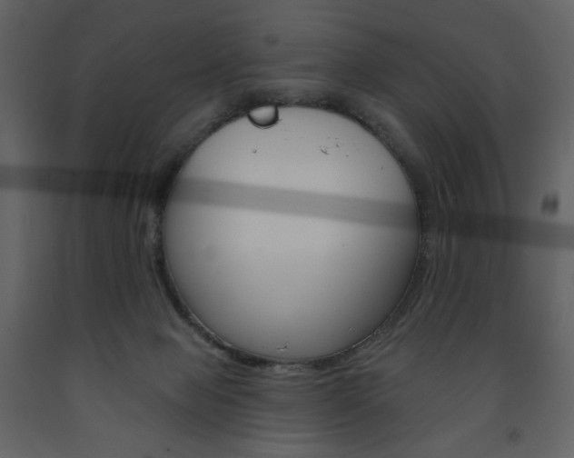 X0000094070077200710191005
