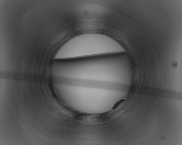 X0000094070078200710191005