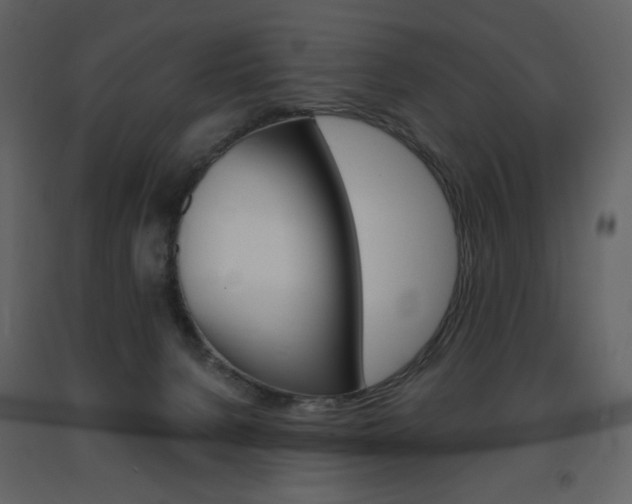 X0000094070080200710191005