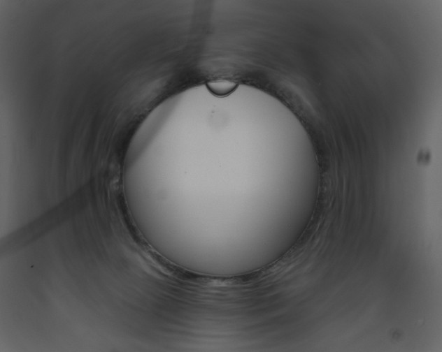 X0000094070081200710191005