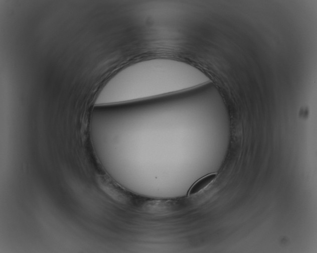 X0000094070082200710191005