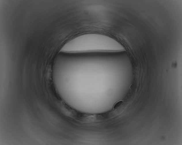 X0000094070083200710191005