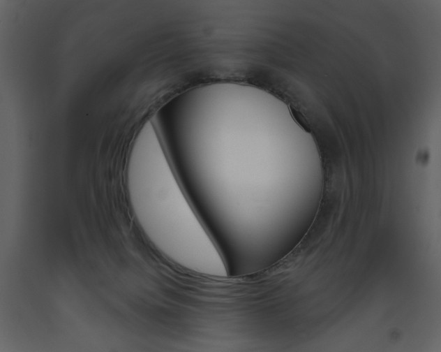 X0000094070084200710191005