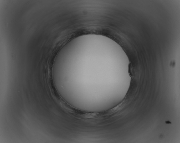 X0000094070086200710191005