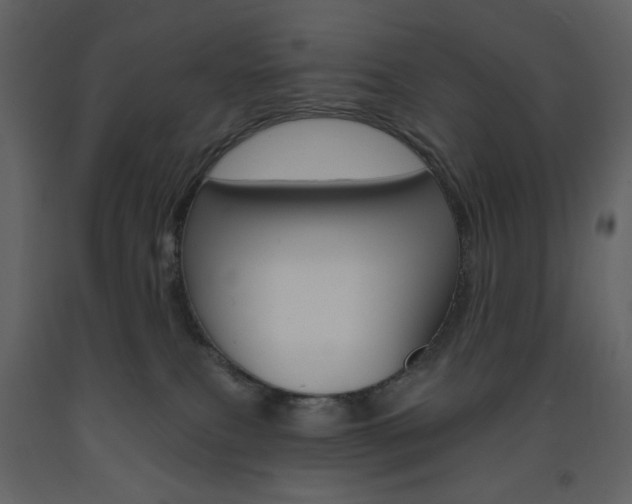 X0000094070087200710191005