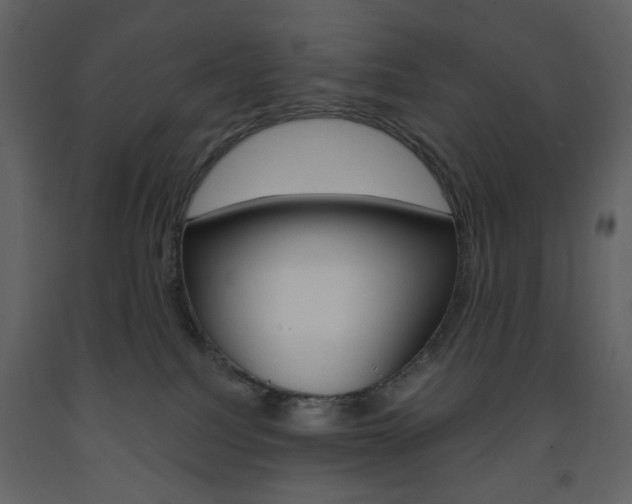 X0000094070088200710191005