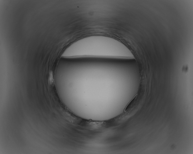 X0000094070089200710191005