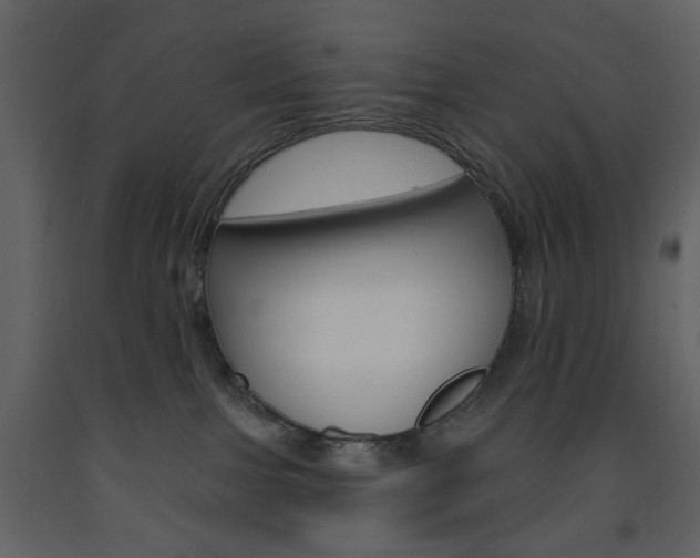 X0000094070091200710191005