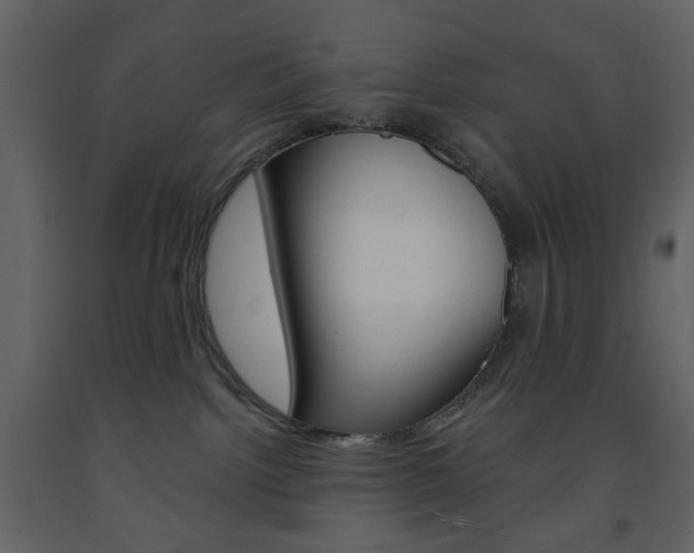 X0000094070092200710191005