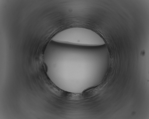 X0000094070093200710191005