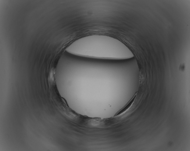 X0000094070094200710191005