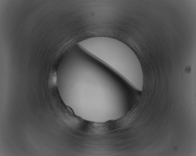 X0000094070095200710191005